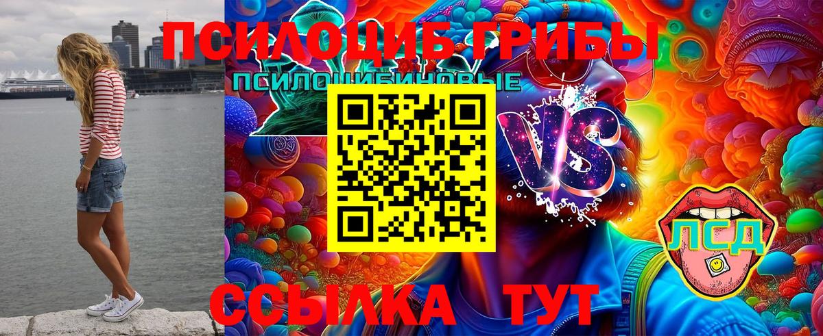 Псилоцибиновые грибы Psilocybe Лабытнанги